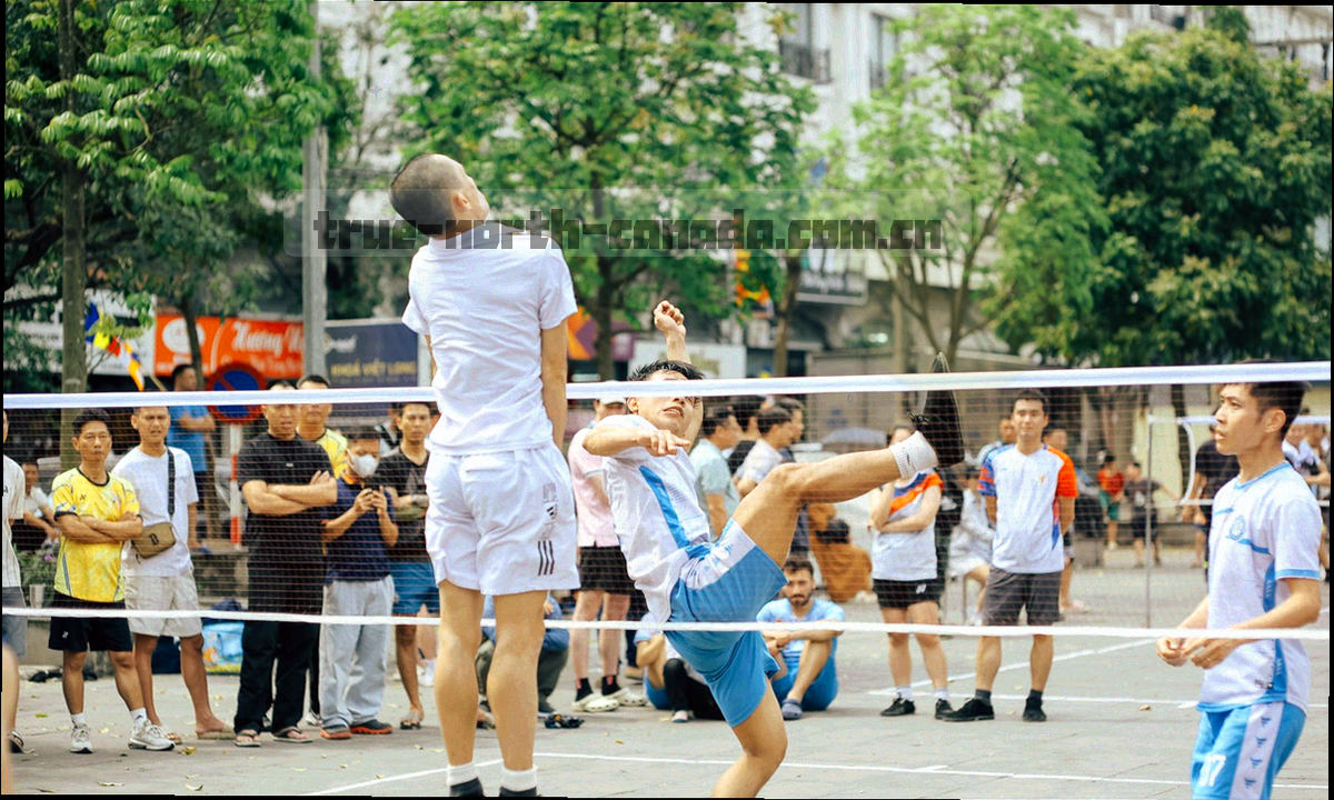 2014 至 2024 年加拿大各彩种连号频次年度分布总览图，横轴为年份，纵轴为出现频次